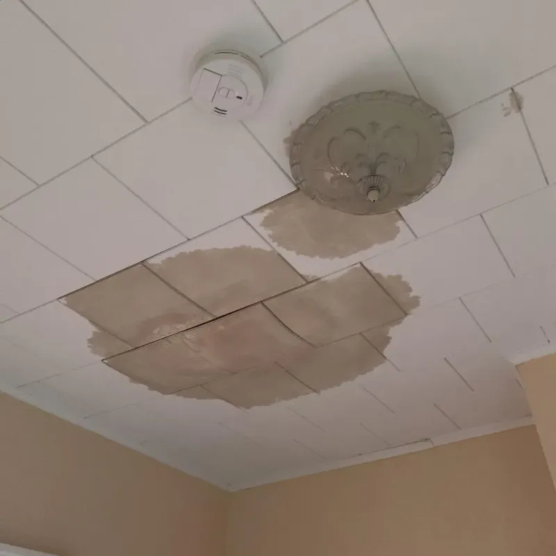 Ceiling Water Damage Repair in Temple Hills, MD